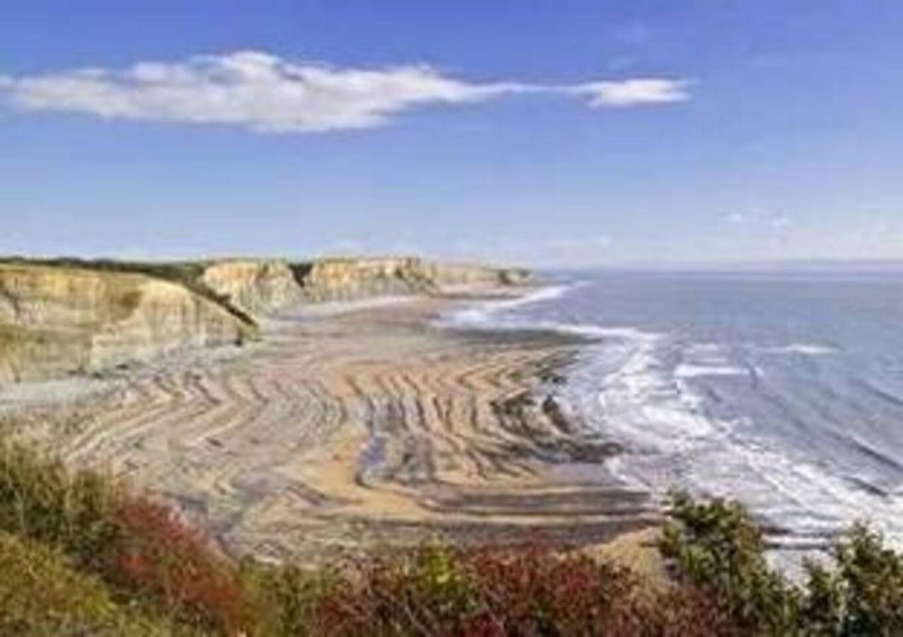 1-Bed Cottage On Coastal Pathway In South Wales Gileston Екстер'єр фото